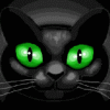 Avatar utente